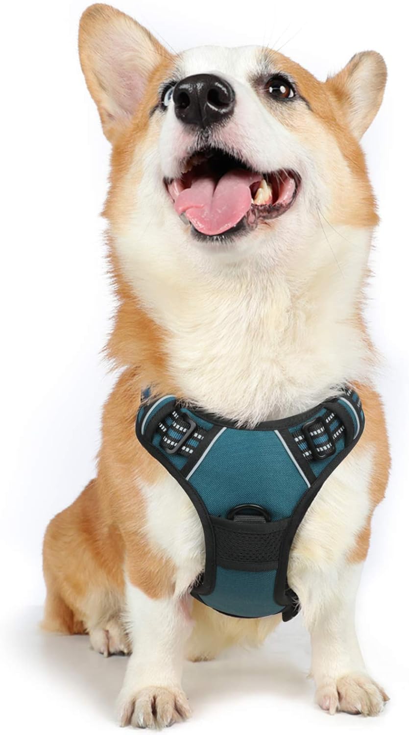 rabbitgoo Dog Harness Dog No Pull Pet Harness | PetNestUK