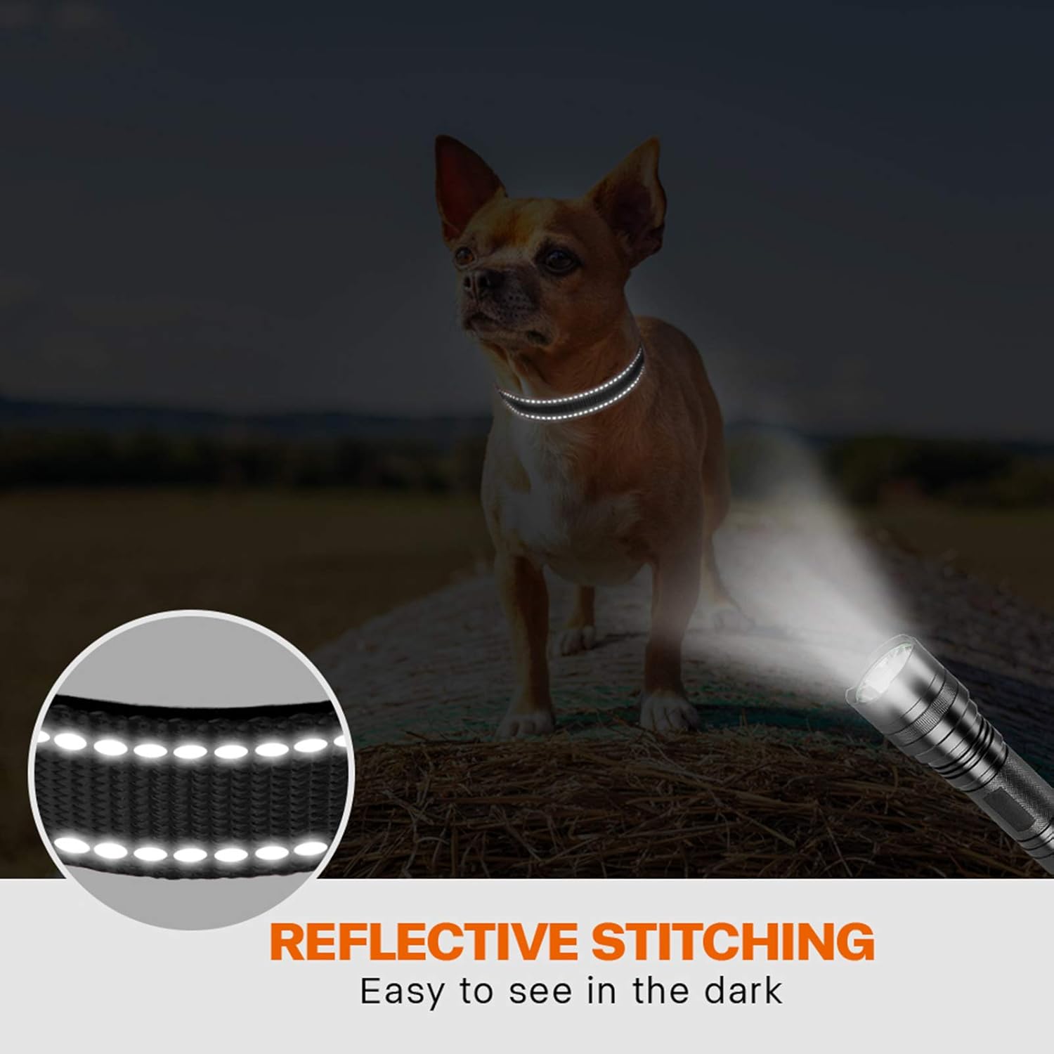 Taglory Reflective Nylon Dog Collar with Safety | PetNestUK