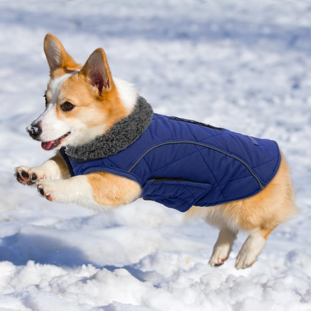 EMUST Winter Dog Coats, Fleece Dog Apparel for | PetNestUK