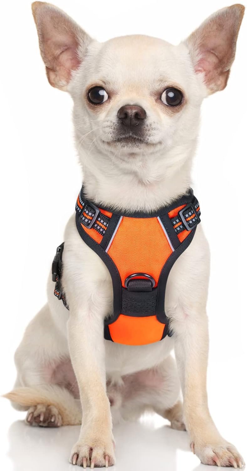 rabbitgoo Padded Dog Harness with Two Lead Clips
