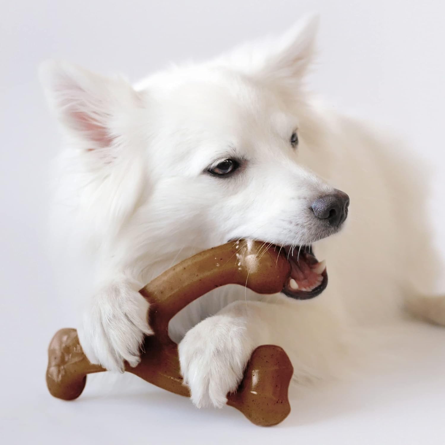 Benebone Durable Dog Chew Toy Box for Aggressive | PetNestUK