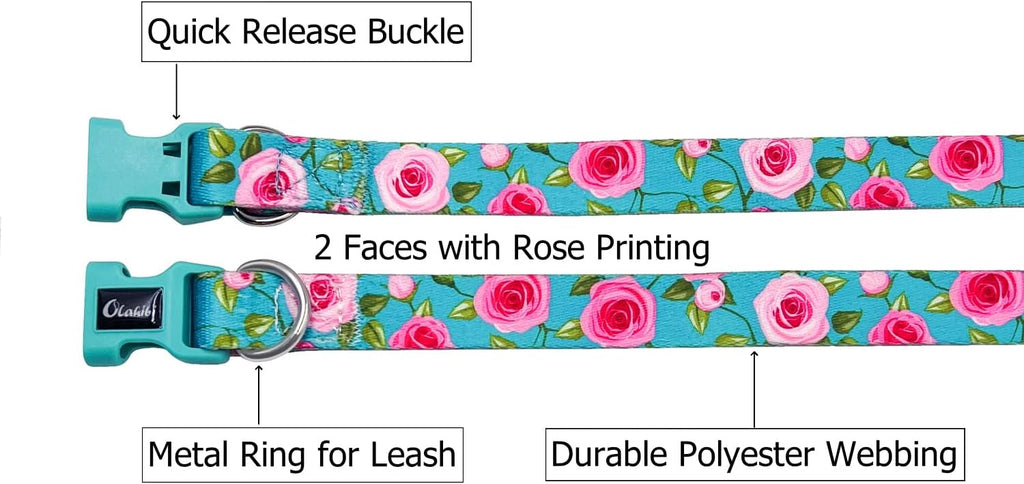 Olahibi Daisy Pattern Dog Collar and Leash | PetNestUK