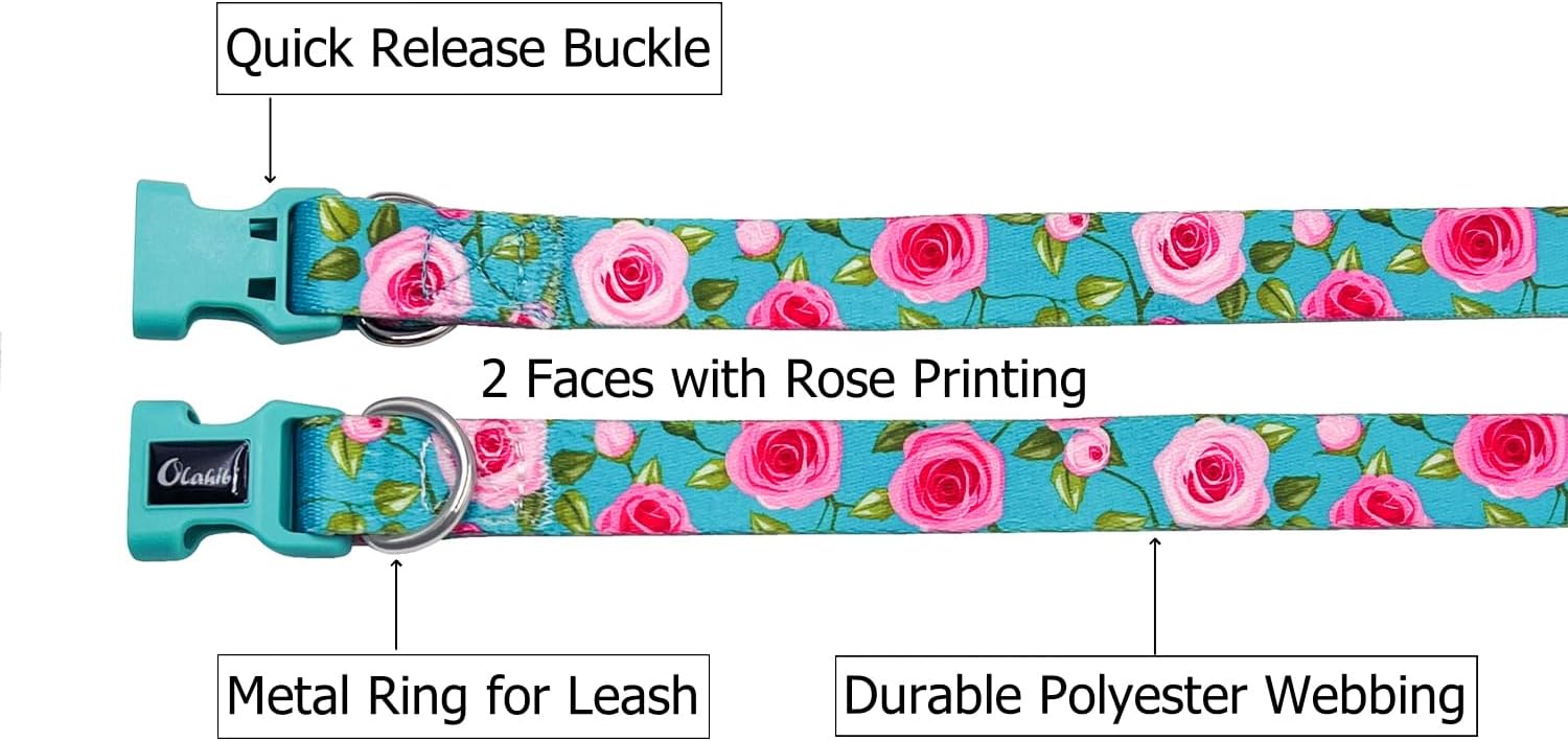 Olahibi Daisy Pattern Dog Collar and Leash | PetNestUK