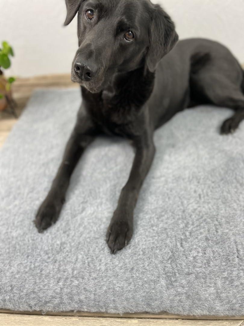 SOUL DESTINY Fleece Pet Bedding, Sizes, Rolls and Sample