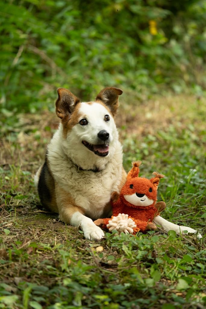 Petface Plush and Squeaky Dog Toys