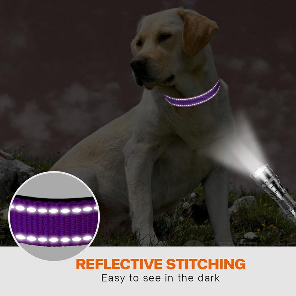 Taglory Reflective Nylon Dog Collar with Safety | PetNestUK