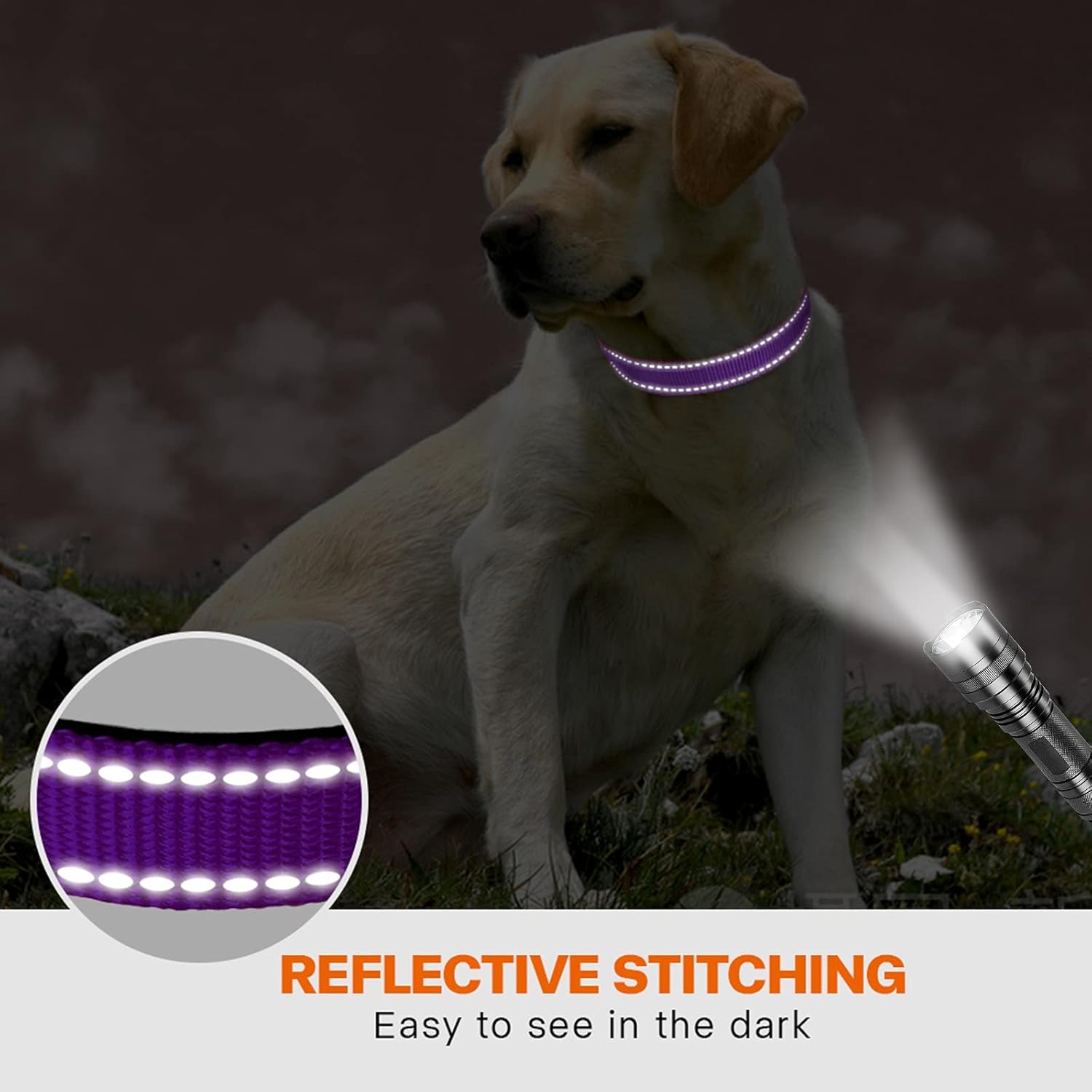 Taglory Reflective Nylon Dog Collar with Safety | PetNestUK