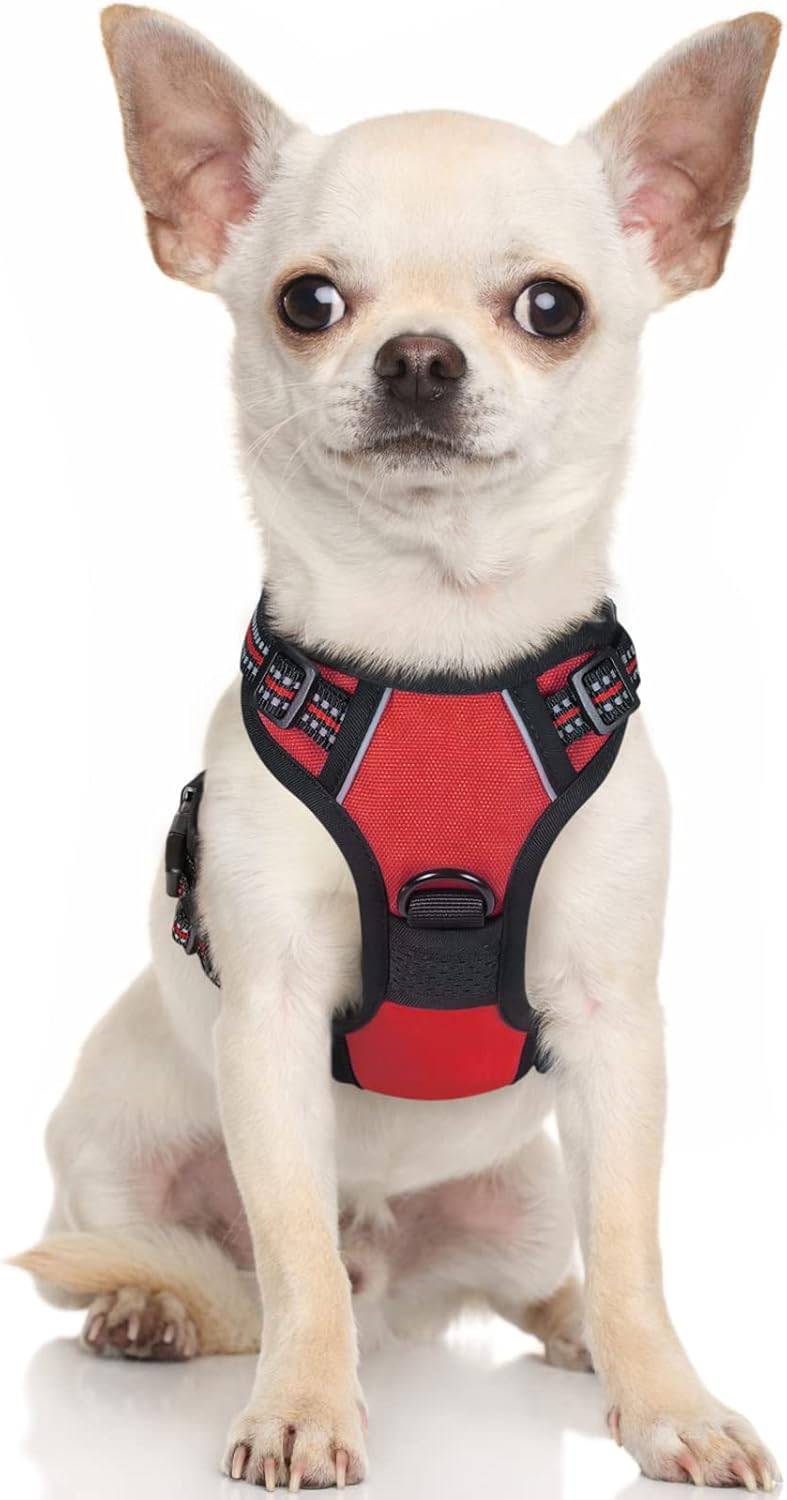 rabbitgoo Dog Harness Dog No Pull Pet Harness | PetNestUK