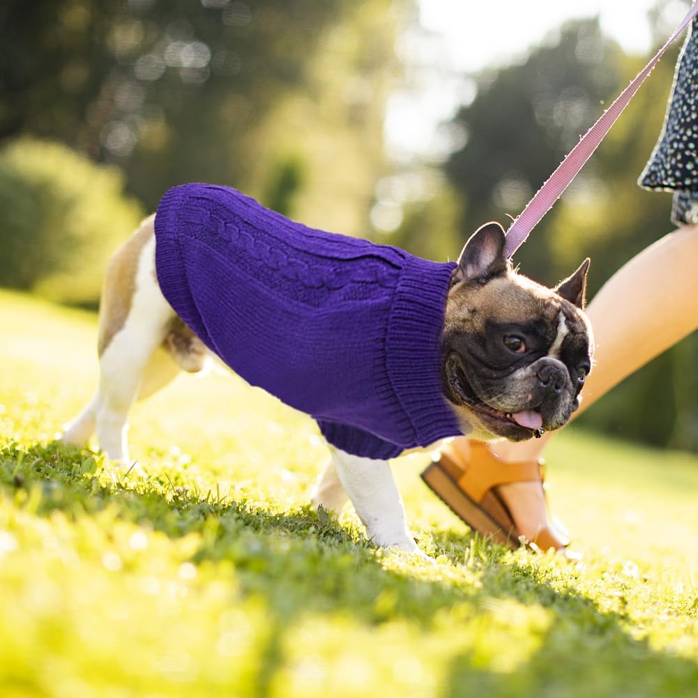 Knitted Jumper for Small Dogs