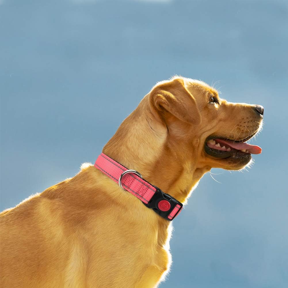 Taglory Reflective Nylon Dog Collar with Safety | PetNestUK