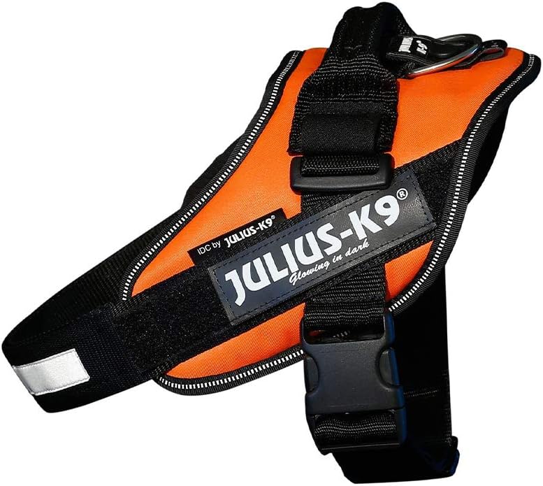 Julius-K9 IDC Powerharness for Small Dogs