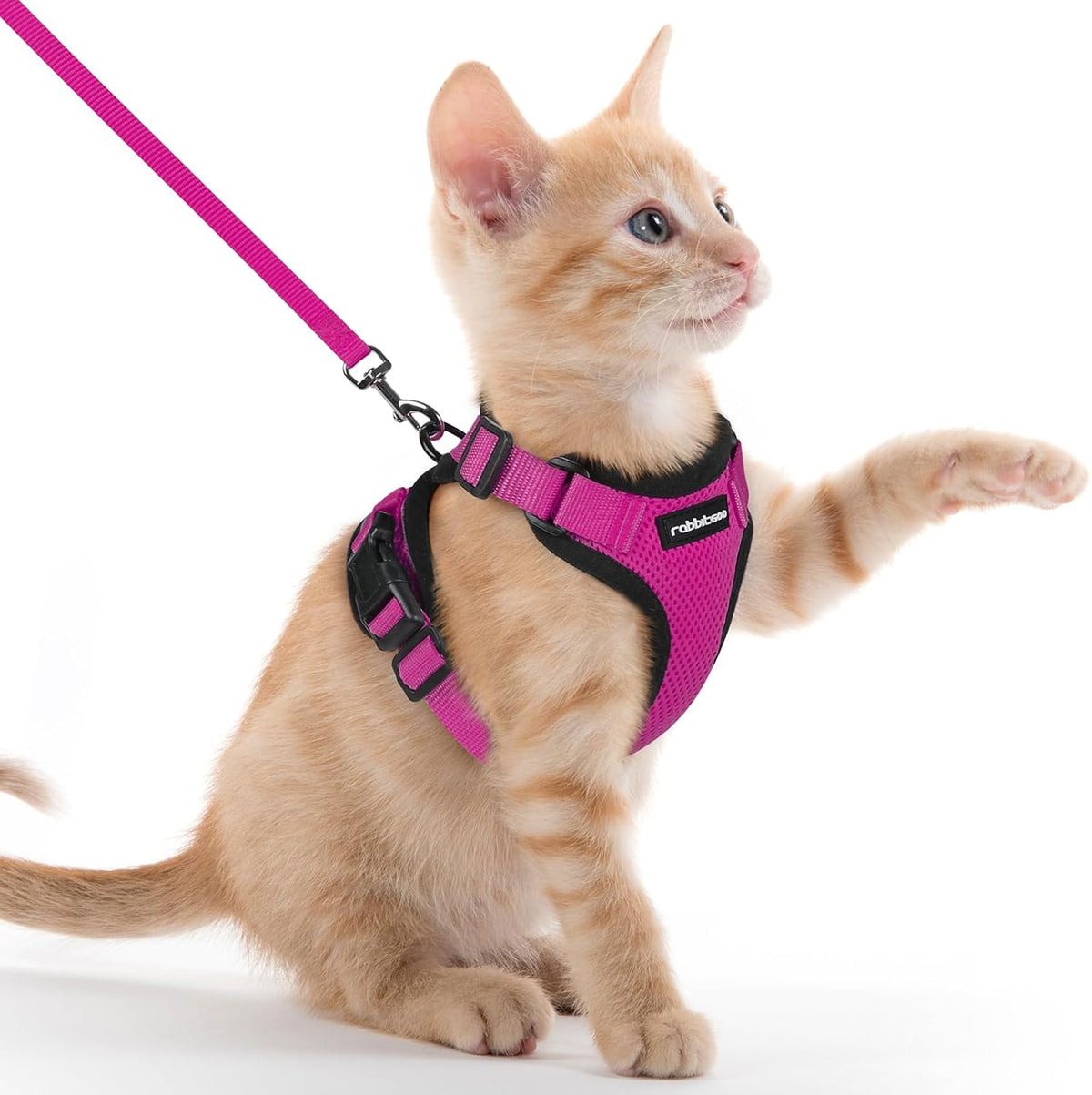 rabbitgoo Adjustable Cat Harness and Lead Set