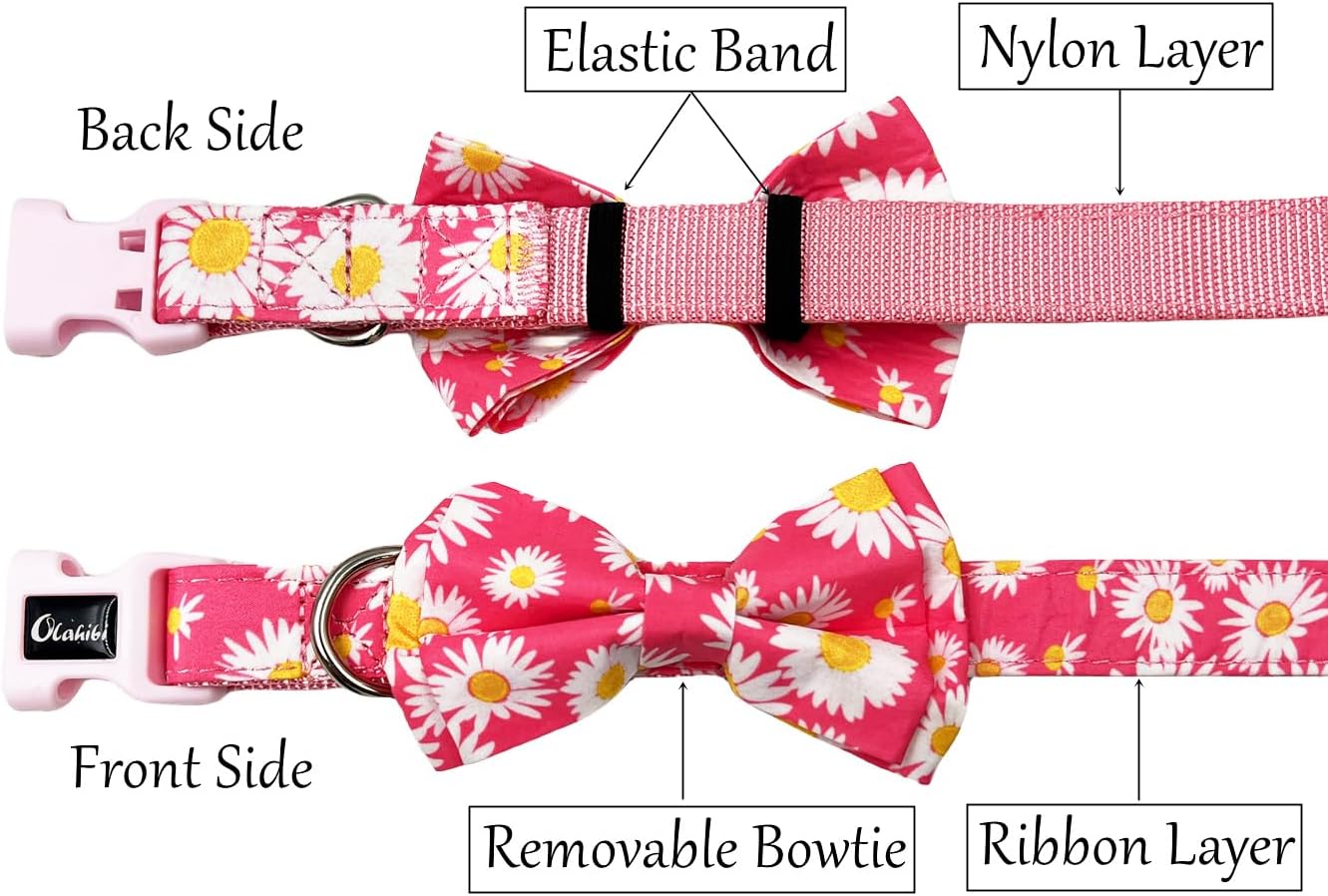 Olahibi Daisy Pattern Dog Collar and Leash | PetNestUK