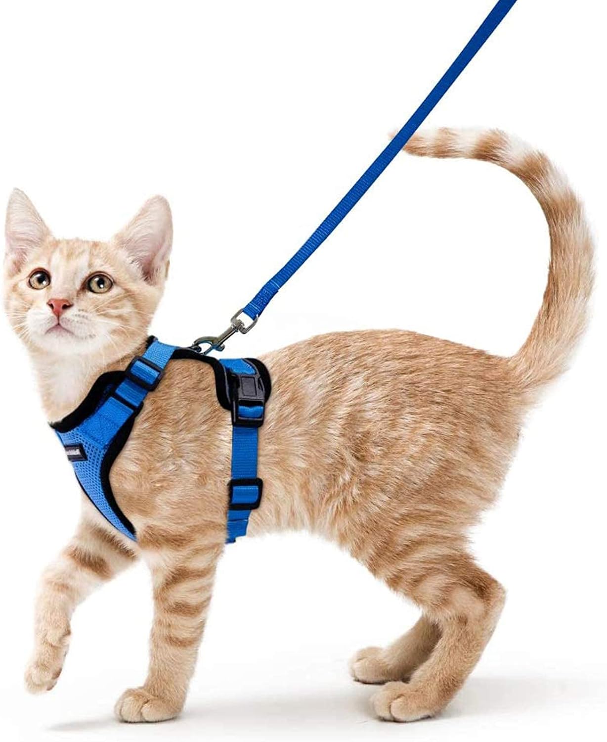 rabbitgoo Cat Harness and Lead Set, Escape Proof | PetNestUK