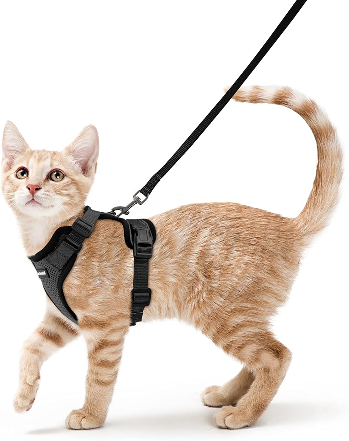 rabbitgoo Cat Harness and Lead Set, Escape Proof | PetNestUK