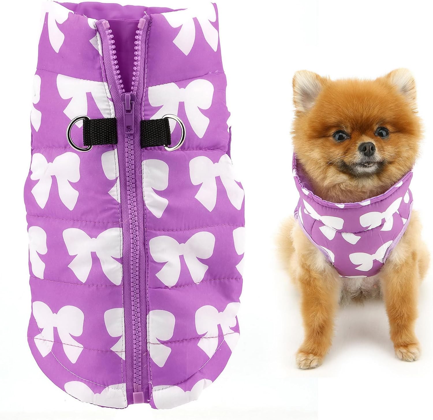 SMALLLEE_LUCKY_STORE Small Dog Cat Winter Coat | PetNestUK