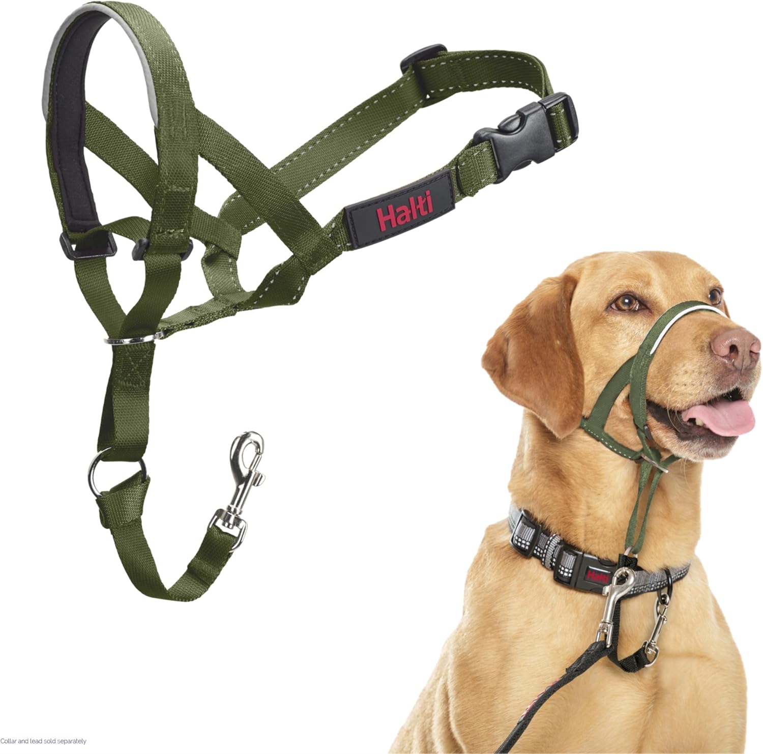 HALTI Headcollar, UK Bestselling Harness to Stop | PetNestUK