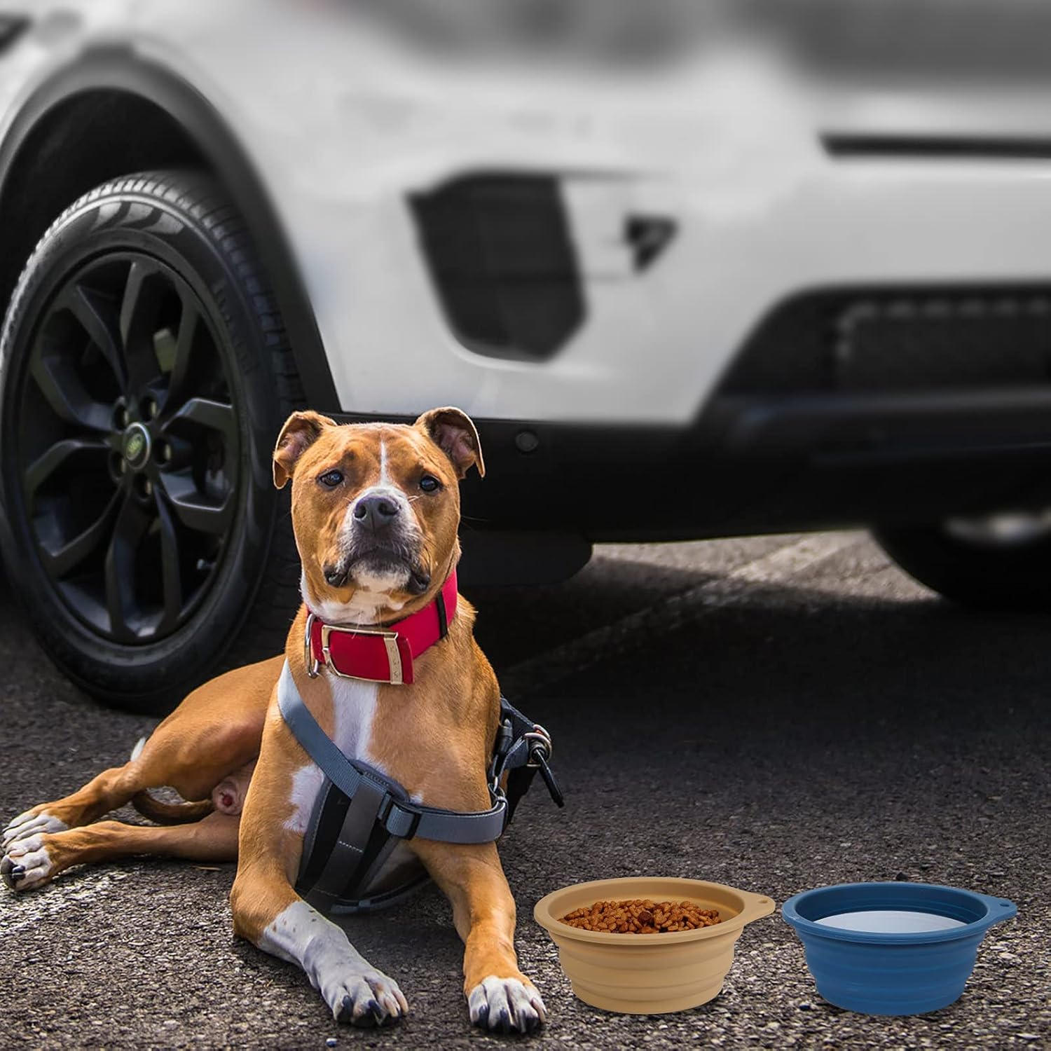 SLSON 2 Pack Dog Collapsible Bowl Large Portable | PetNestUK