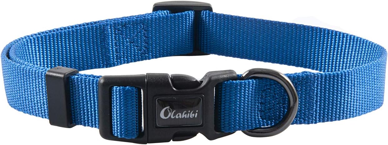Olahibi Daisy Pattern Dog Collar and Leash | PetNestUK