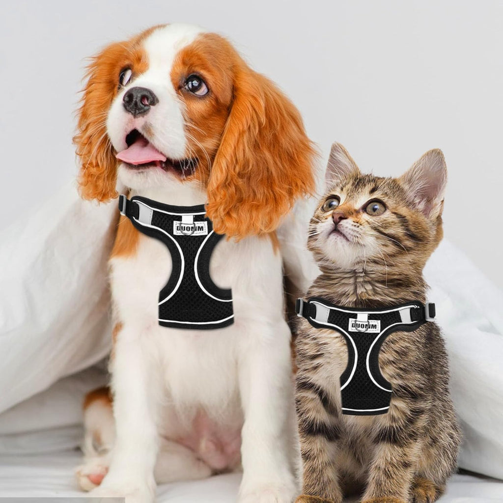 RAFIYU Dog Harness Medium Breathable Vest, | PetNestUK