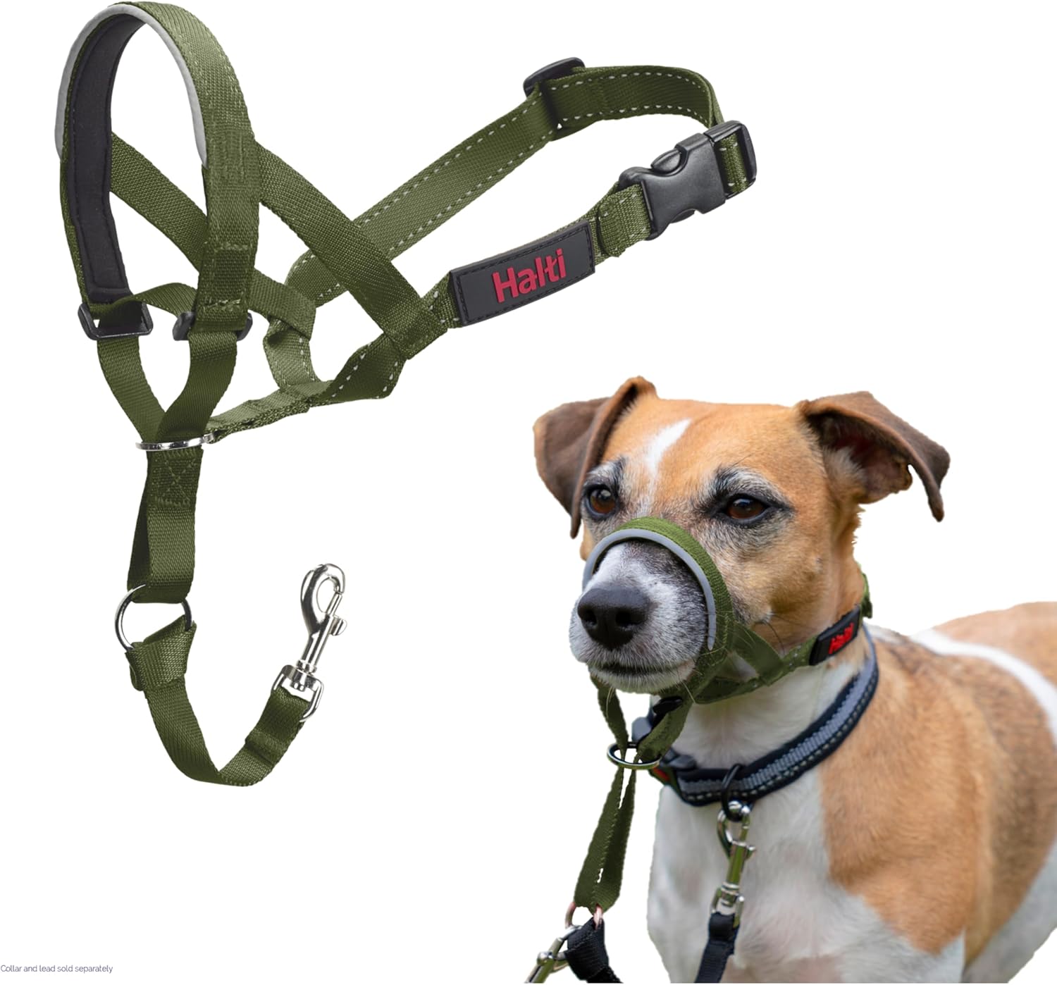 HALTI Headcollar, UK Bestselling Harness to Stop | PetNestUK