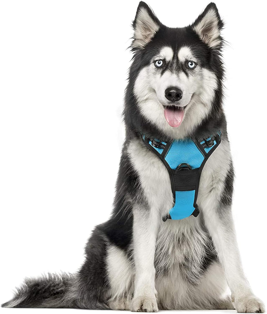 rabbitgoo Padded Dog Harness with Two Lead Clips