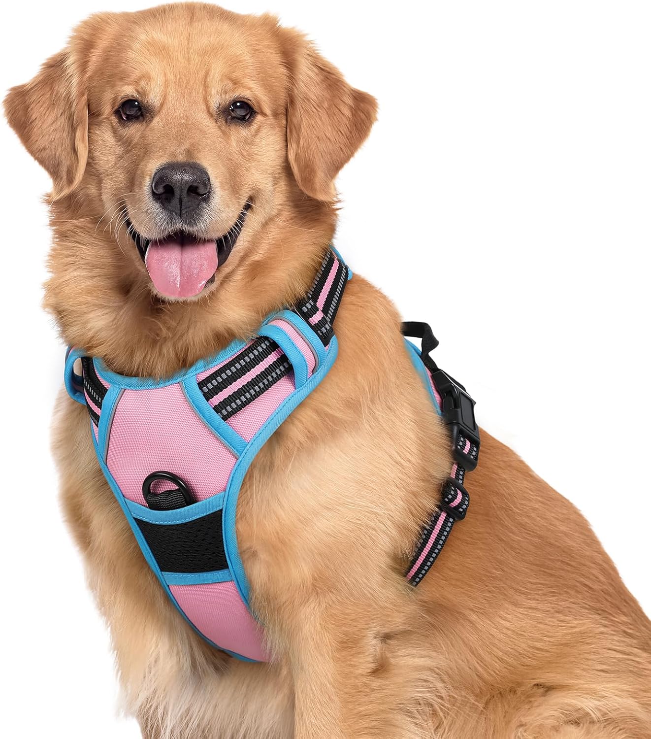 rabbitgoo Dog Harness Dog No Pull Pet Harness | PetNestUK