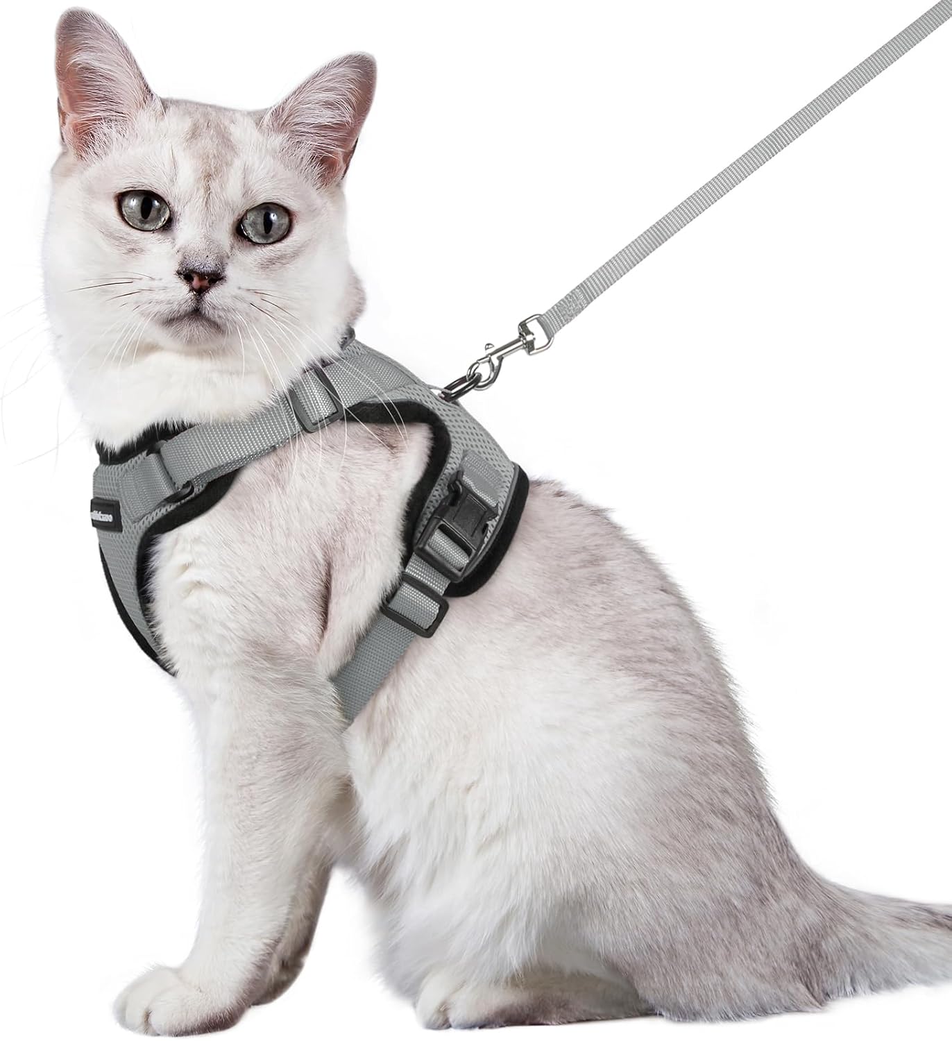 rabbitgoo Cat Harness and Lead Set, Escape Proof | PetNestUK