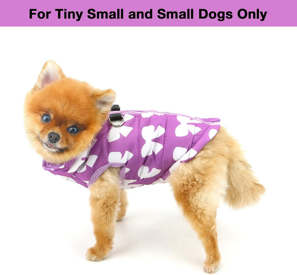 SMALLLEE_LUCKY_STORE Small Dog Cat Winter Coat | PetNestUK