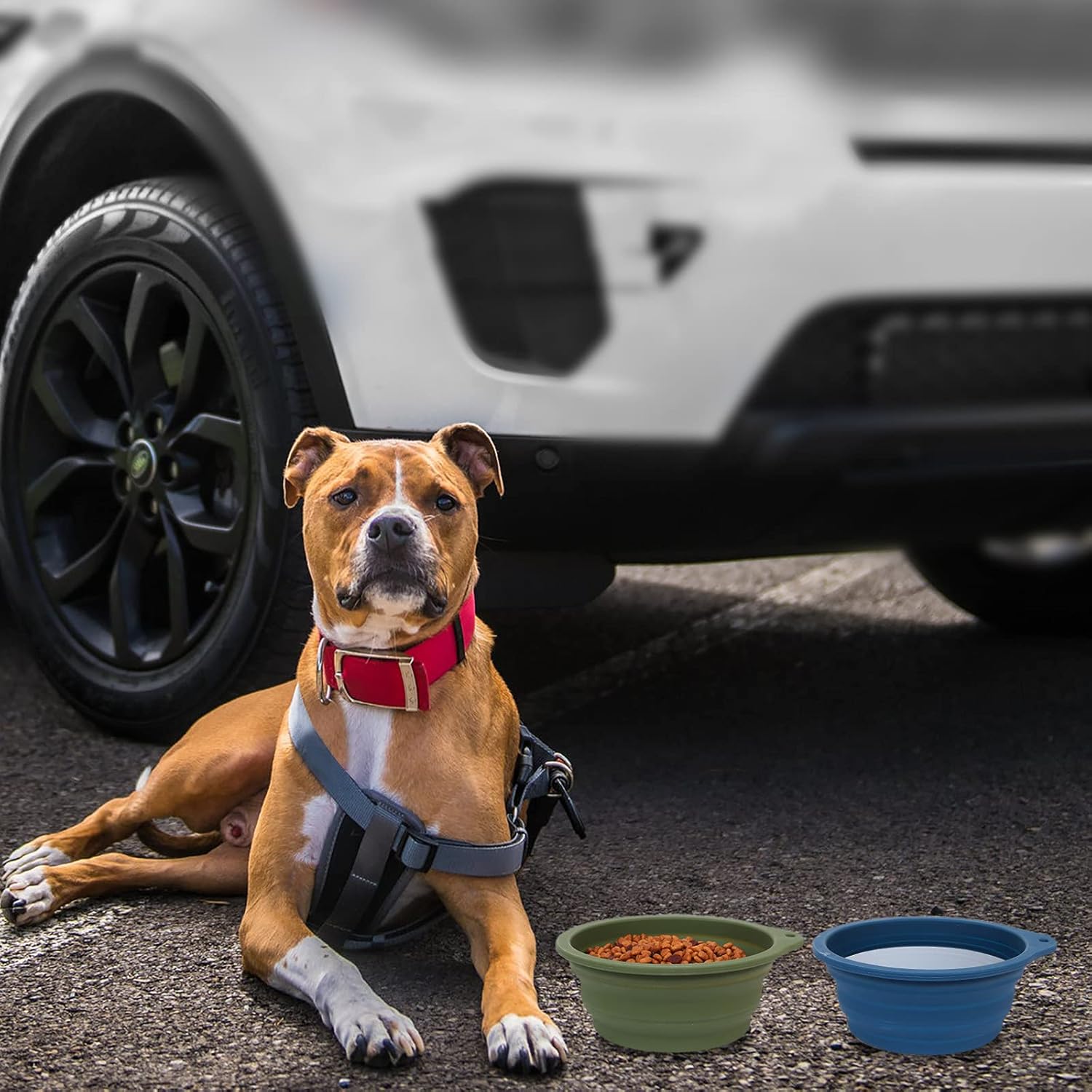 SLSON 2 Pack Dog Collapsible Bowl Large Portable | PetNestUK