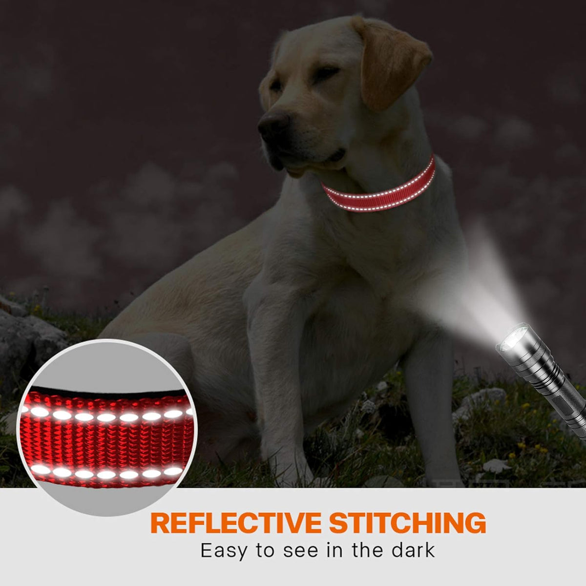Taglory Reflective Nylon Dog Collar