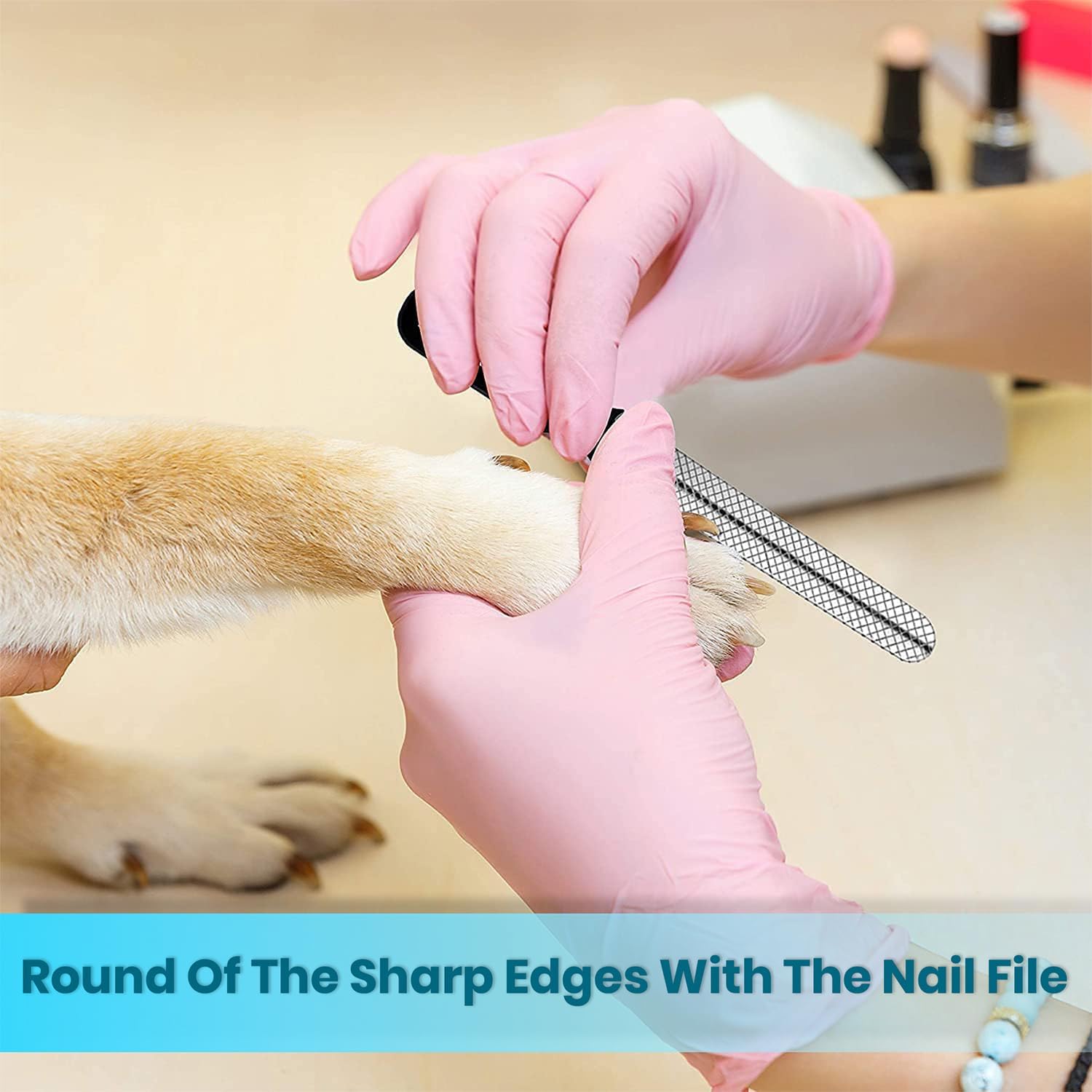 Candure Dog Nail Clippers for Large, Medium and | PetNestUK
