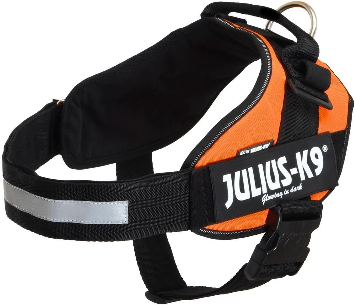 Julius-K9 IDC Powerharness for Small Dogs