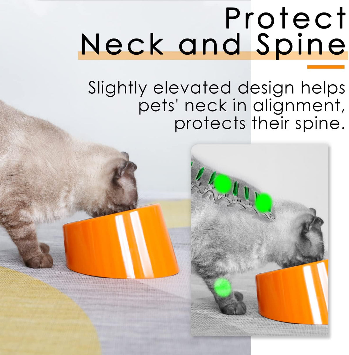 SuperDesign Slanted Stainless-Steel Pet Bowl