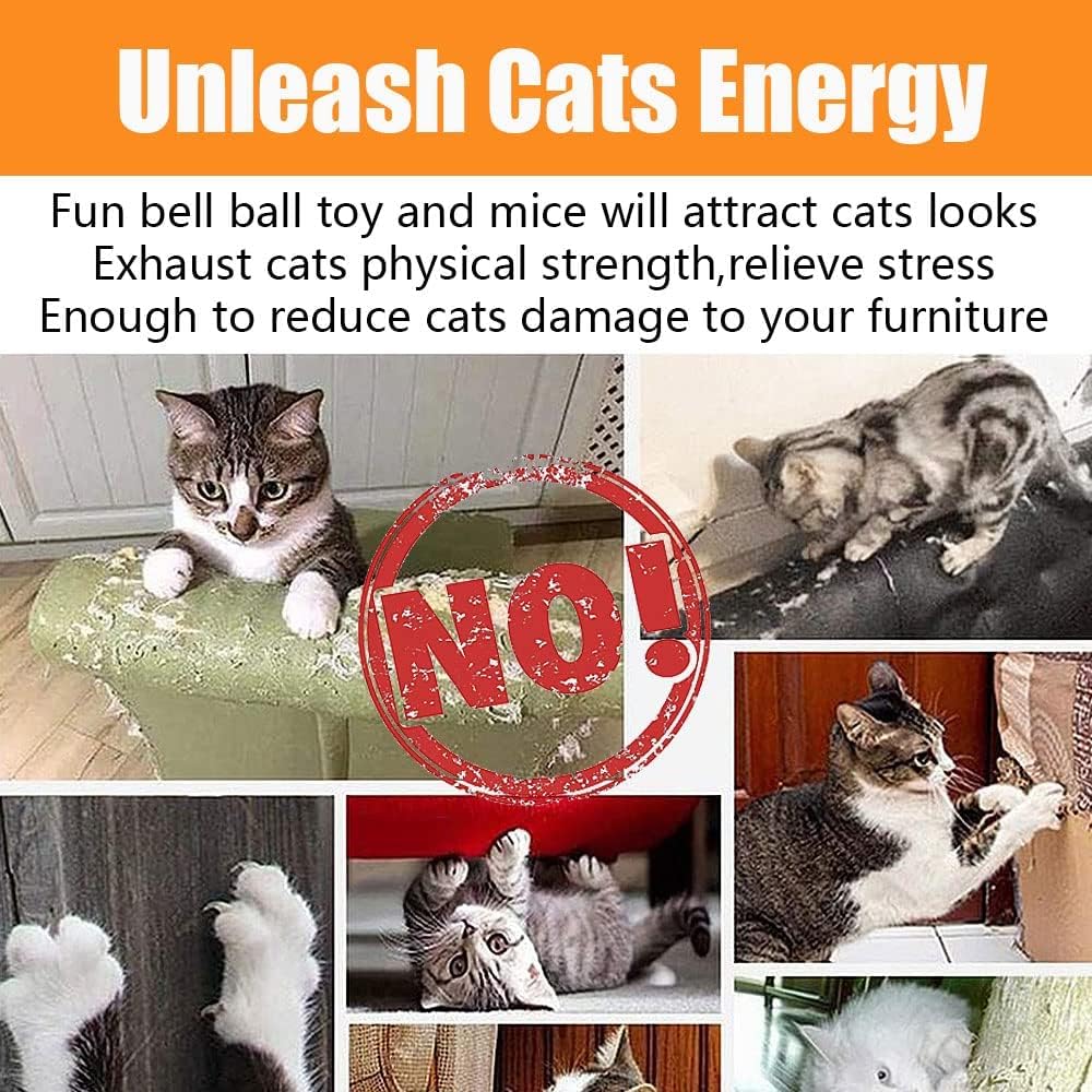 21 Pcs Cat Toys for Indoor Cats Collapsible Cat | PetNestUK
