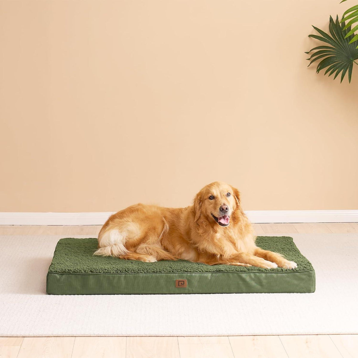 EHEYCIGA Foam Dog Mattress with Removable Cover