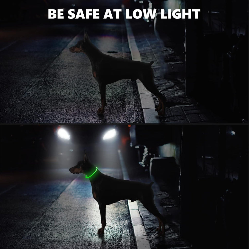 SerDa-Run Light Up Dog Collar, Dog Collar Lights | PetNestUK