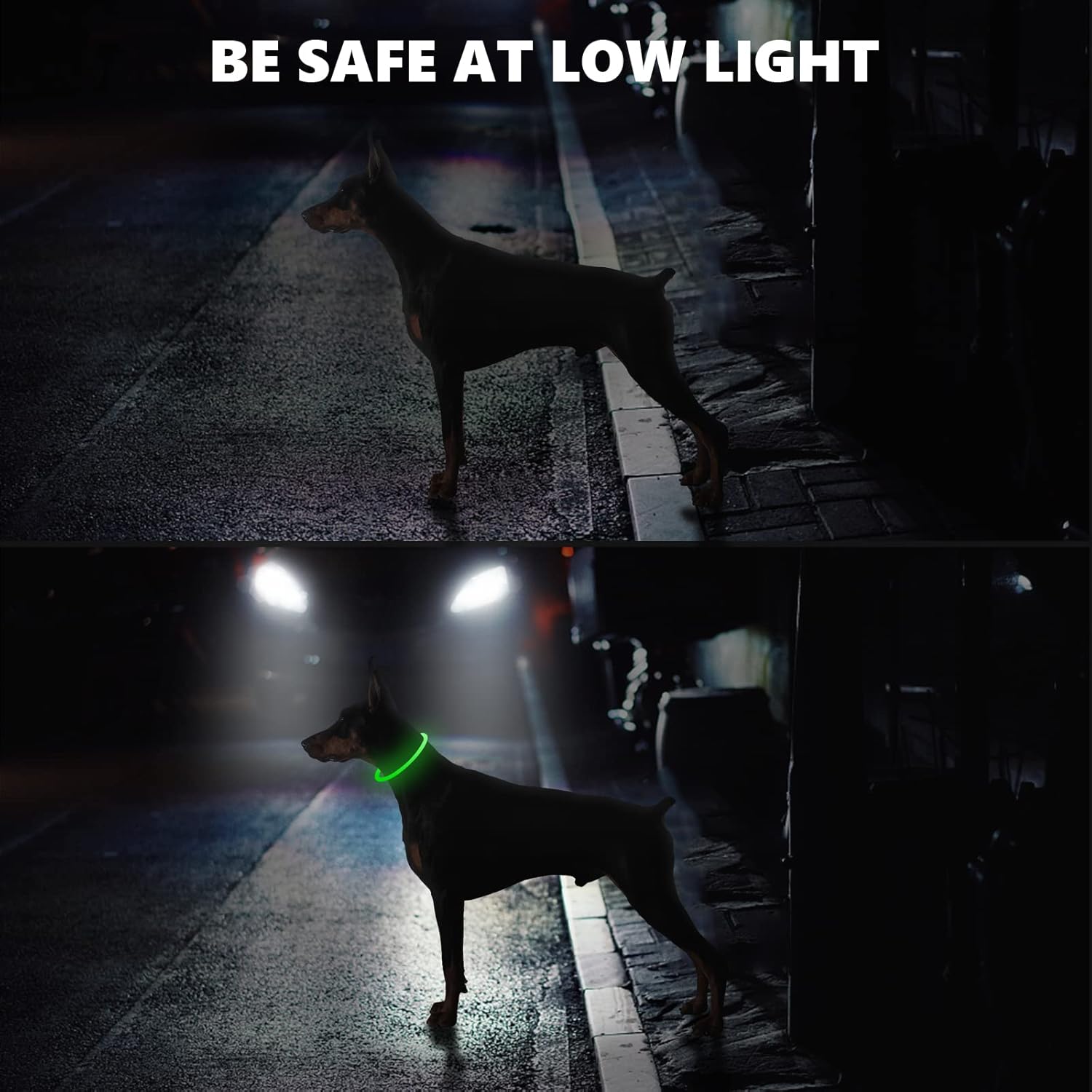 SerDa-Run Light Up Dog Collar, Dog Collar Lights | PetNestUK