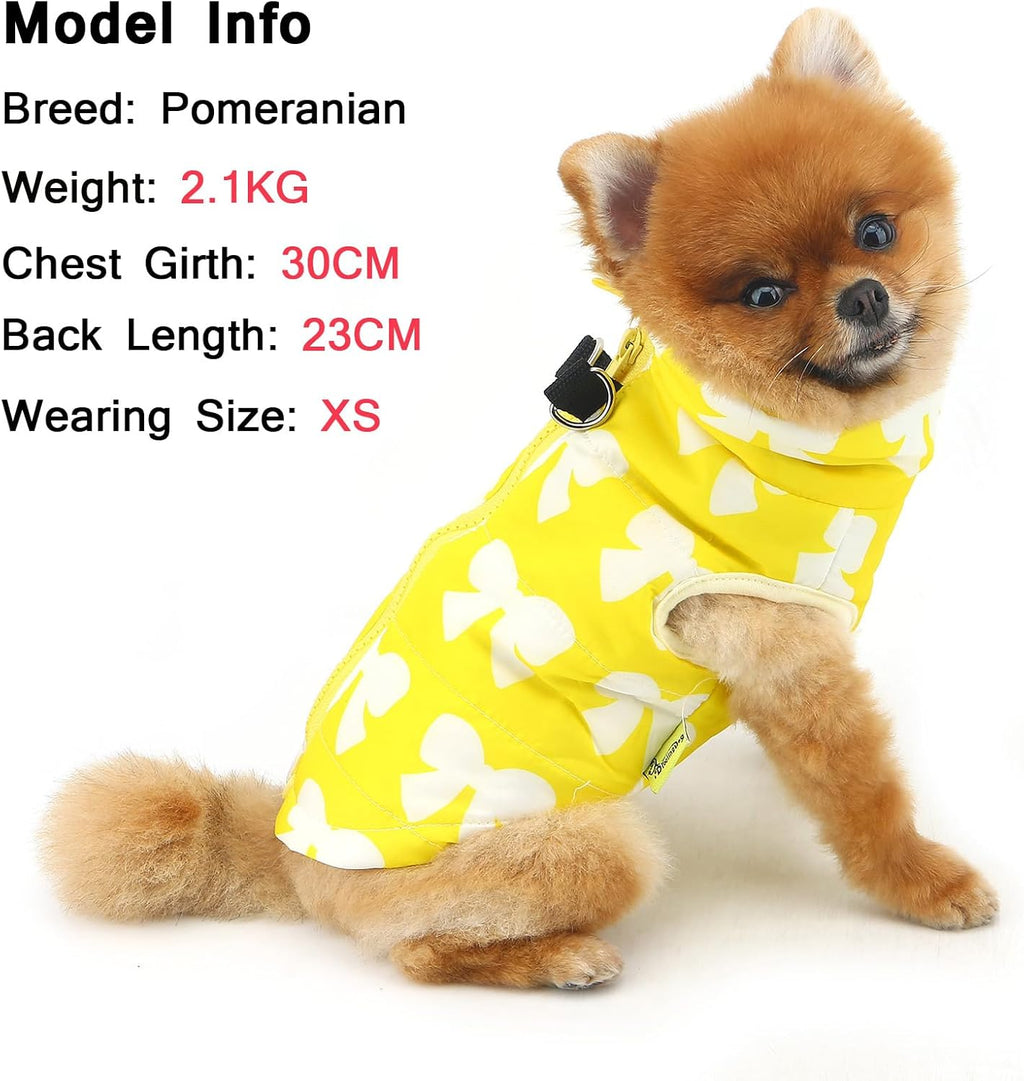 SMALLLEE_LUCKY_STORE Small Dog Cat Winter Coat | PetNestUK