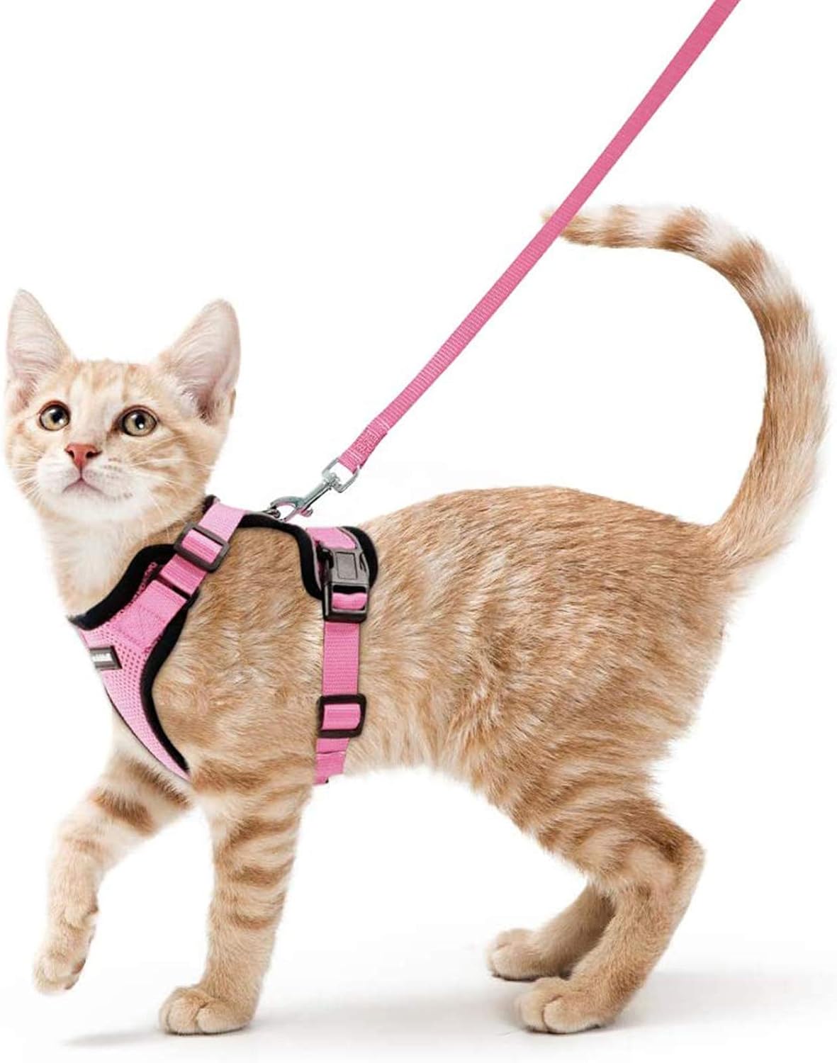 rabbitgoo Cat Harness and Lead Set, Escape Proof | PetNestUK