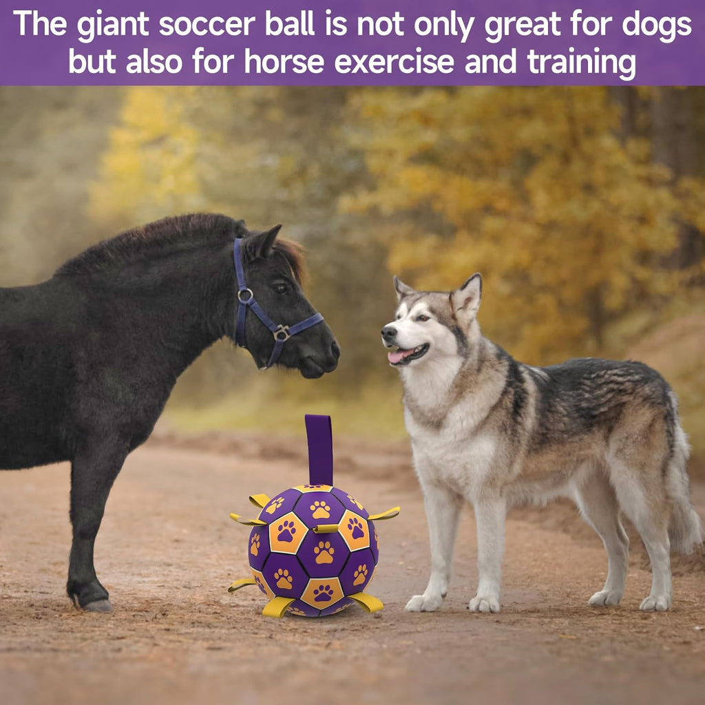 HETOO Interactive Dog Football Toys with Grab | PetNestUK