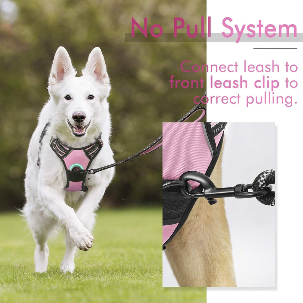 rabbitgoo Padded Dog Harness with Two Lead Clips