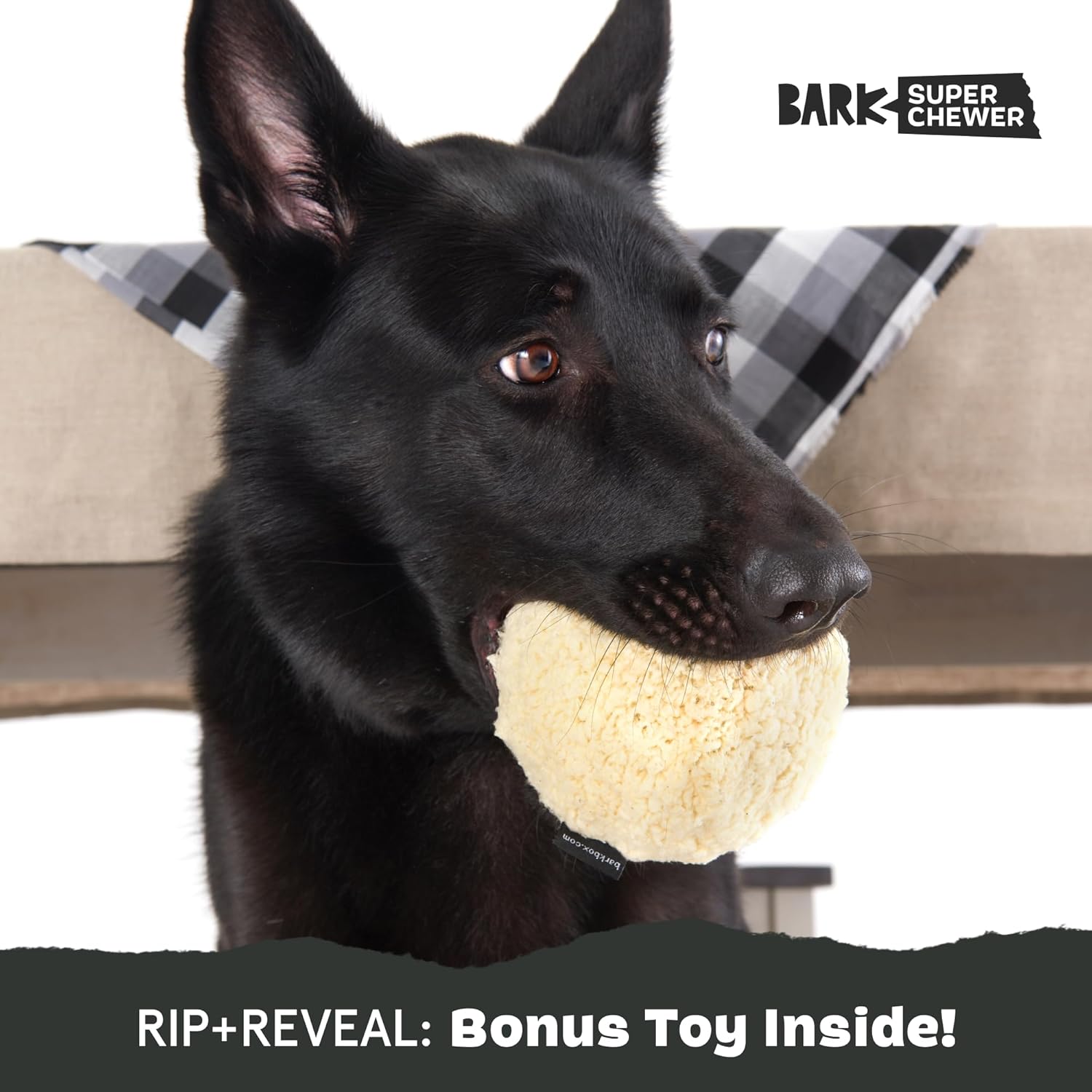 Barkbox Squeaky Dog Toys - Plush and Squeak Chew | PetNestUK