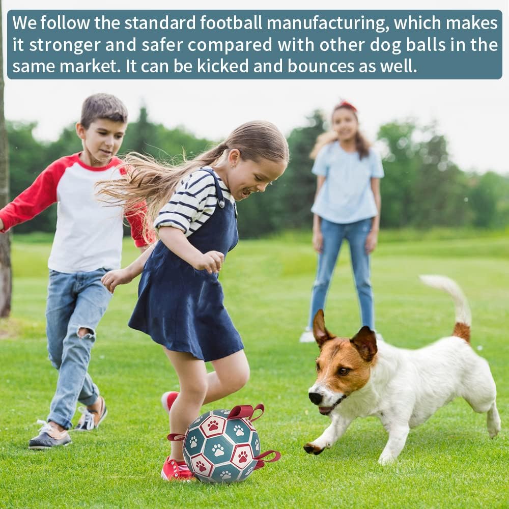 HETOO Interactive Dog Football Toys with Grab | PetNestUK