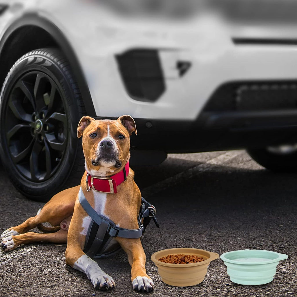 SLSON 2 Pack Dog Collapsible Bowl Large Portable | PetNestUK