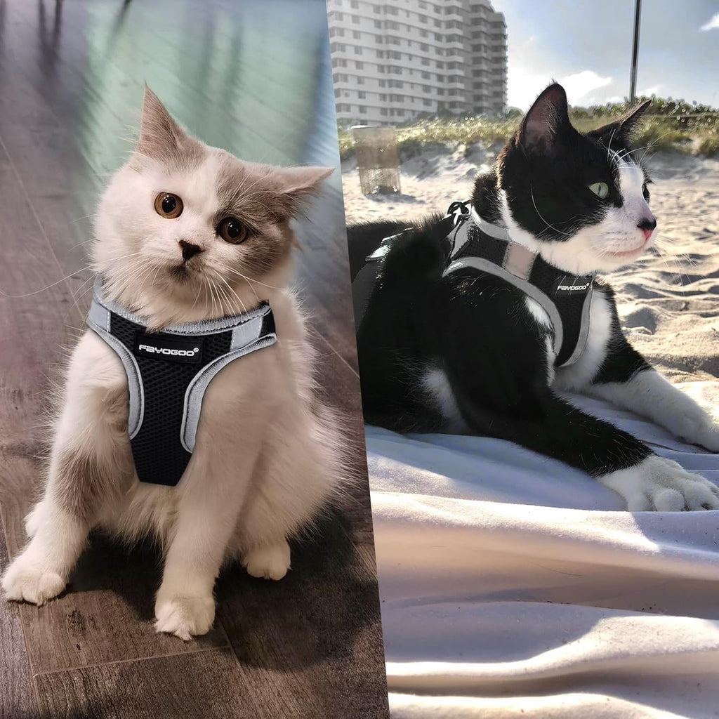 FAYOGOO Cat Harness and Lead Set, Cat Harness | PetNestUK