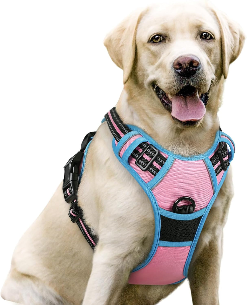 rabbitgoo Padded Dog Harness with Two Lead Clips