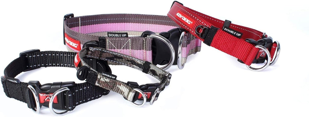 EZYDOG Double Up Dog Collar | PetNestUK