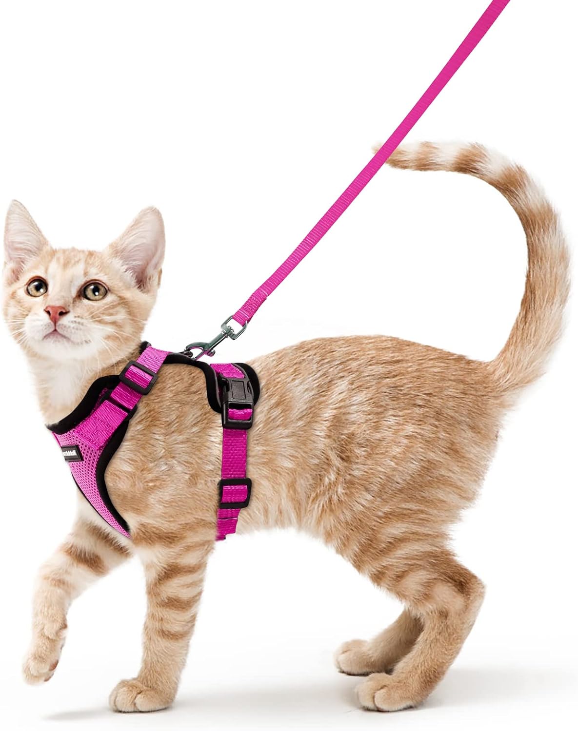rabbitgoo Cat Harness and Lead Set, Escape Proof | PetNestUK