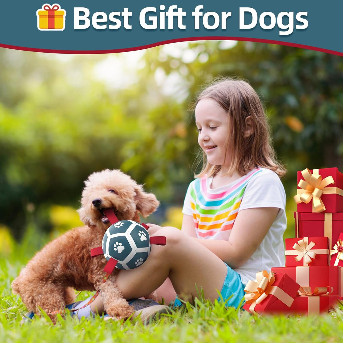 HETOO Dog Football with Grab Tabs